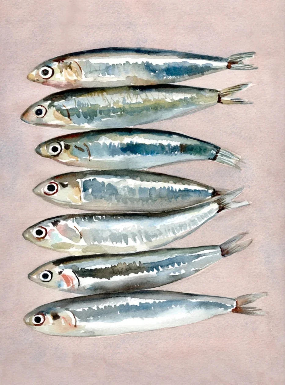 Affiches de sardines