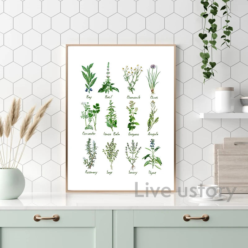 Affiches de cuisine illustrée